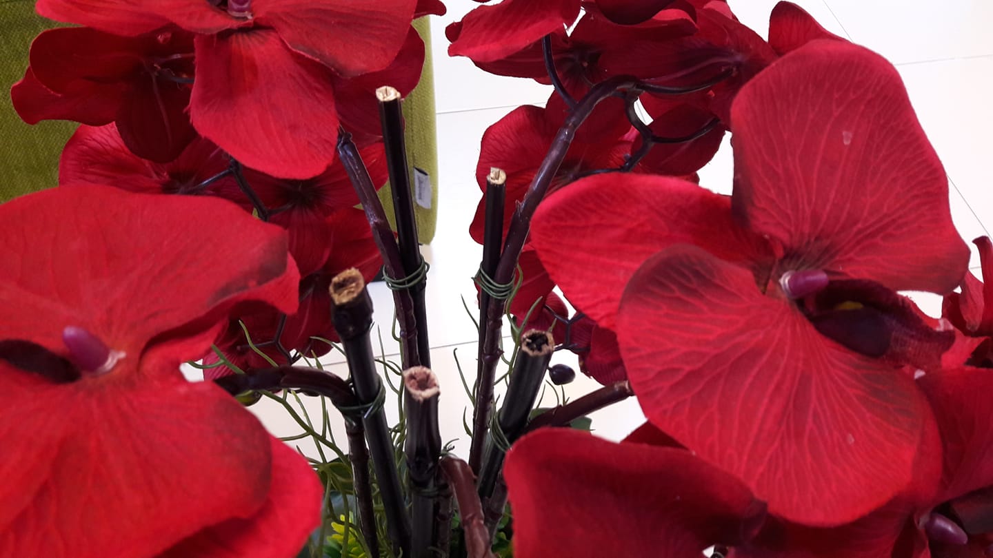 Cara Gubah Bunga Orkid Paling Simple Tapi Cantik, Confirm 